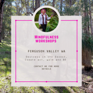 Mindfulness Workshop