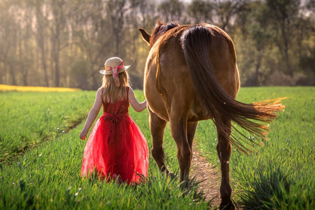 girl, horse, friendship-4157869.jpg